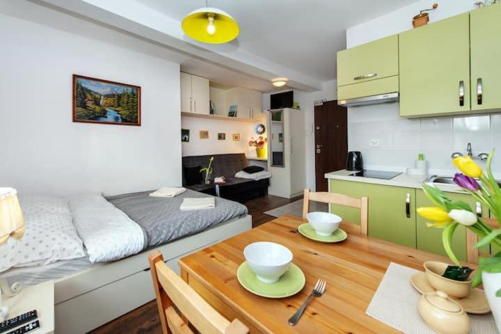 Cosy Studio Apartment Krasków Εξωτερικό φωτογραφία