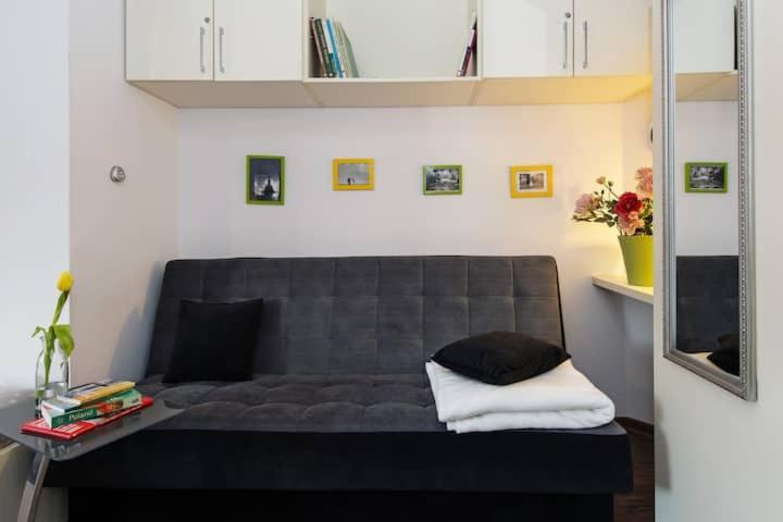 Cosy Studio Apartment Krasków Εξωτερικό φωτογραφία