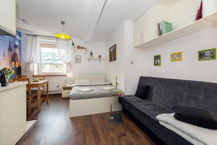 Cosy Studio Apartment Krasków Εξωτερικό φωτογραφία